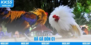 Đá Gà Đòn C1 – Khám Phá Sân Chơi Đỉnh Cá Cược Cao Tại KK55