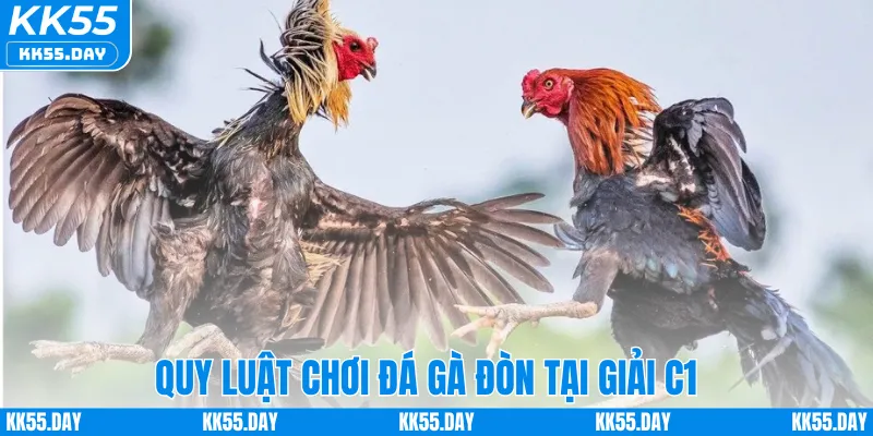 Quy luật chơi đá gà đòn tại giải C1