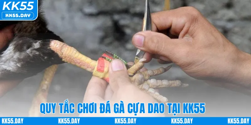 Quy tắc chơi đá gà cựa dao tại KK55